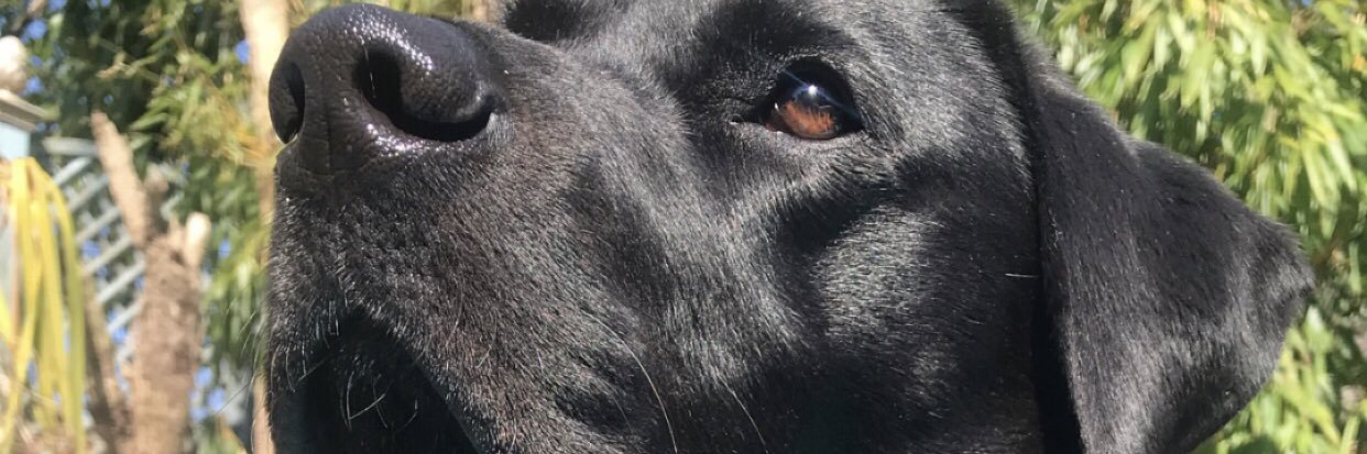 Angecollis86's profile banner image