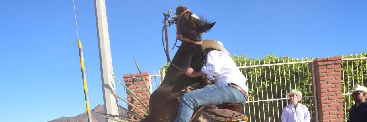 Daniel Baranzini banner