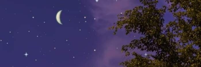 ленивый пельмешек banner