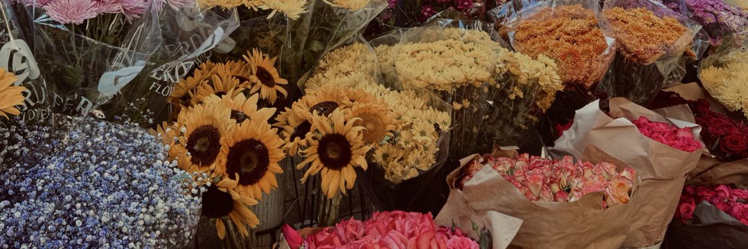 𝐁𝐚𝐬𝐬𝐚𝐧𝐭 |☕️ banner