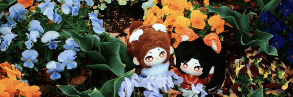 DdanTGCF Profile Banner