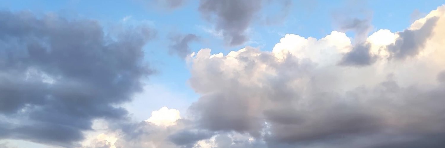 FioZulberti's profile banner image