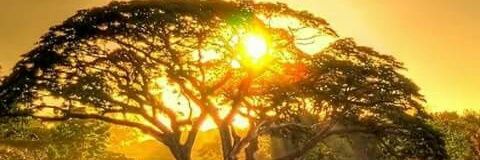 German63084681's profile banner image