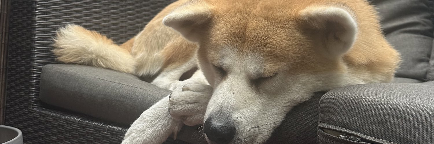 ⚙️ptrcktstr⚙️ banner