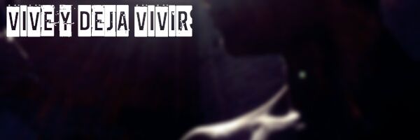 Bruylla banner