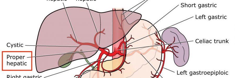 Ghais un Nabi tayyab banner