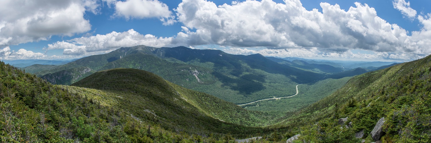 Anita Burroughs banner