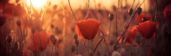 ChoenYinChan Profile Banner