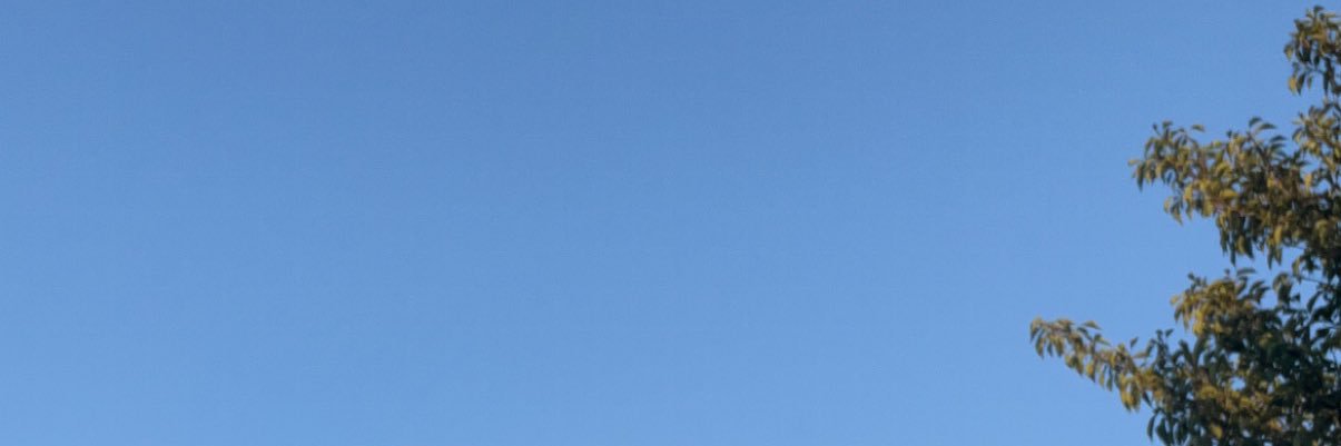 RMecbanal's profile banner image