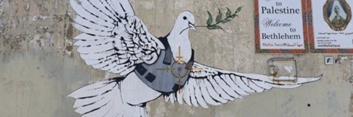Maura Finkelstein's banner