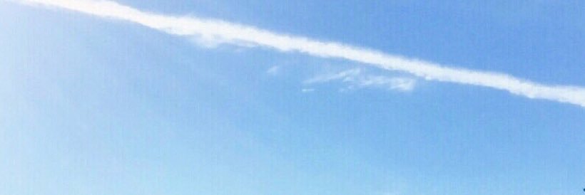 ~~N a r d e e banner