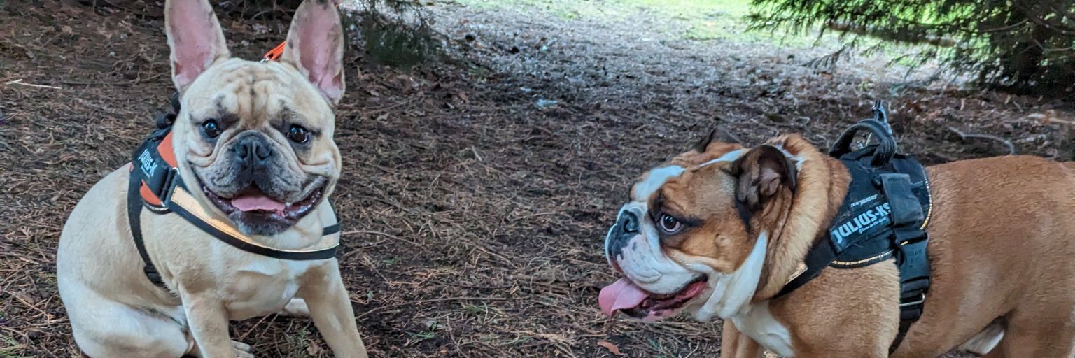 Mark Doran 🏴󠁧󠁢󠁥󠁮󠁧󠁿 banner