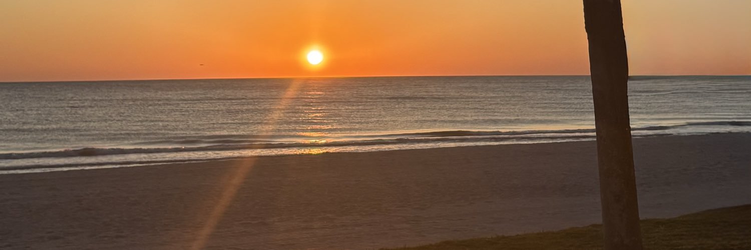 david namey banner