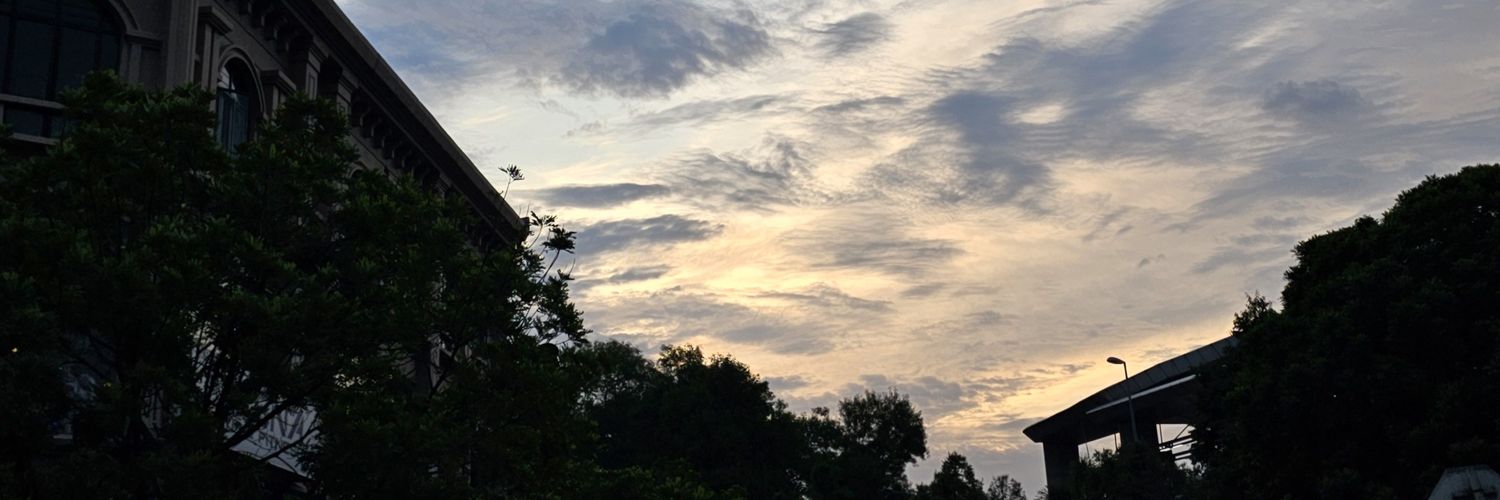 pretendedtobeok's profile banner image