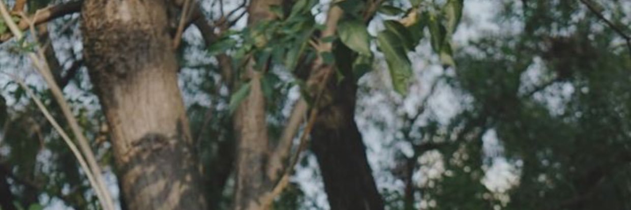 ♡̶ 𝐓 𝐄 𝐍 𝐜 𝐦 ·ᴗ·⍪ || CQ9 F71-72 banner