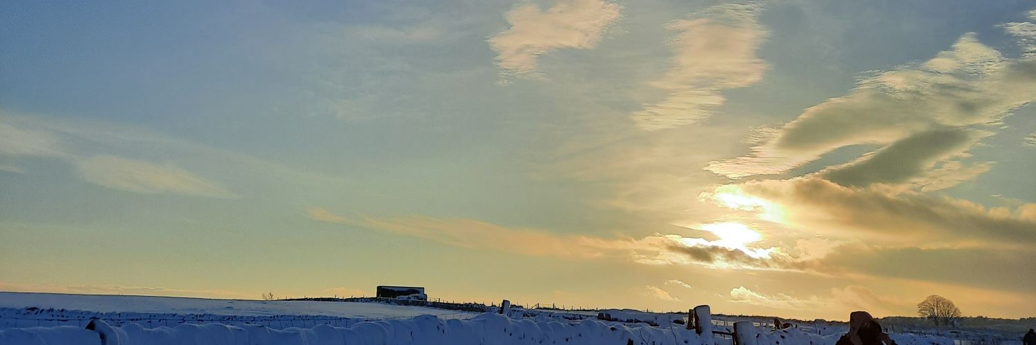 VSWickham's profile banner image