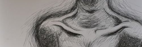 colomaoliver4's profile banner image