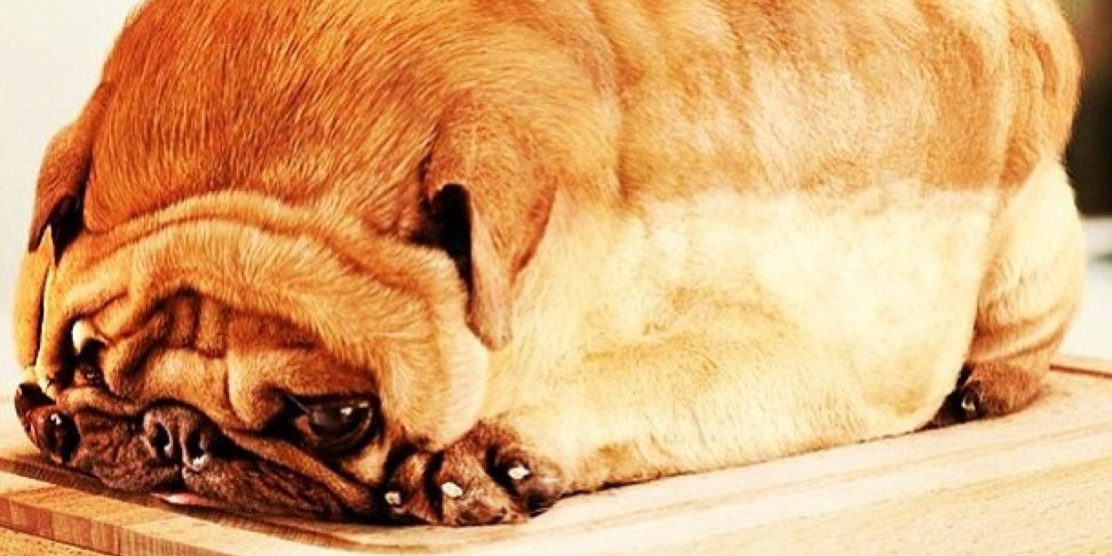 GiovannaWinz's profile banner image