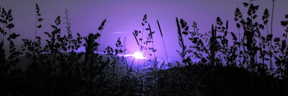 𝓟𝓻𝓲𝓷𝓬𝓮𝓼𝓼𝓑𝓪𝓽𝓱𝓸𝓻𝔂🌱 banner