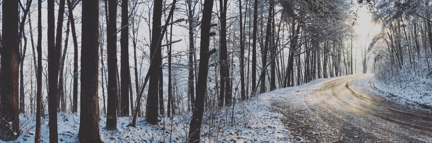 Taylor Thompson banner