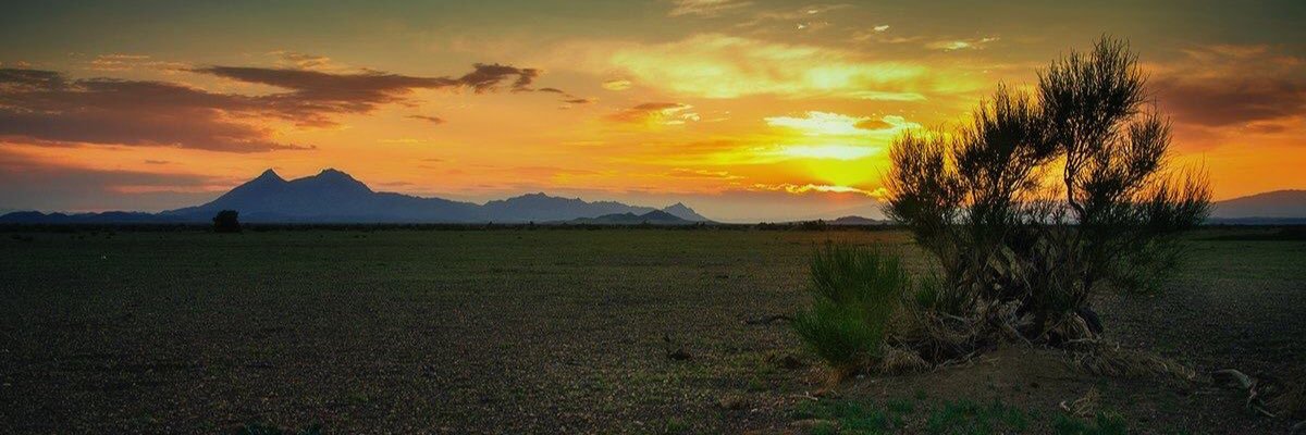 Munkh03's profile banner image