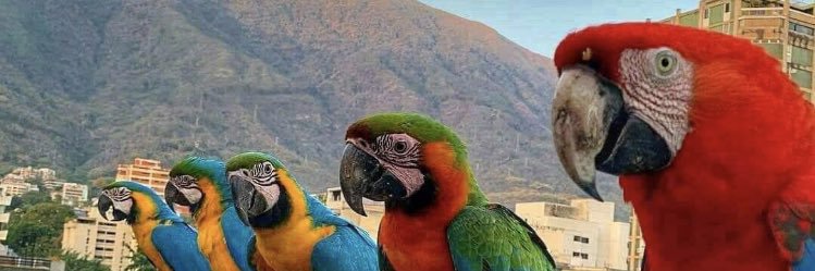 marialuc27's profile banner image