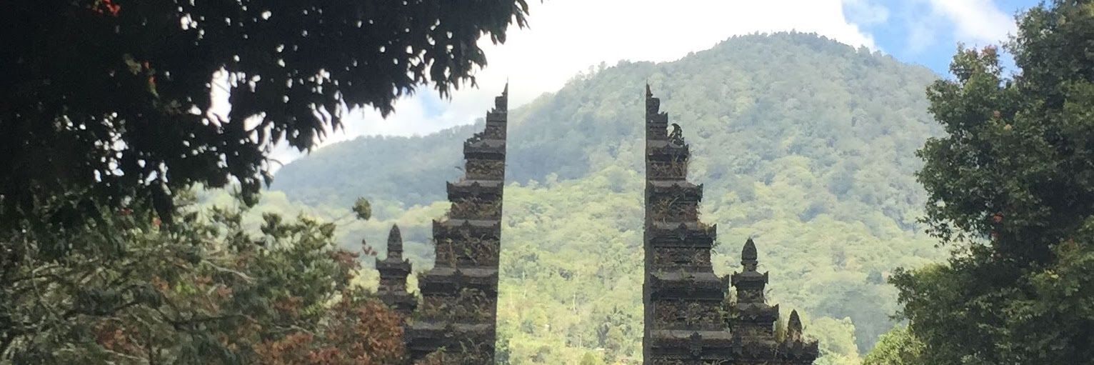 koalalaylay's profile banner image