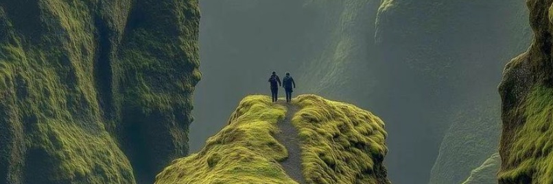 Grant Hardwell banner