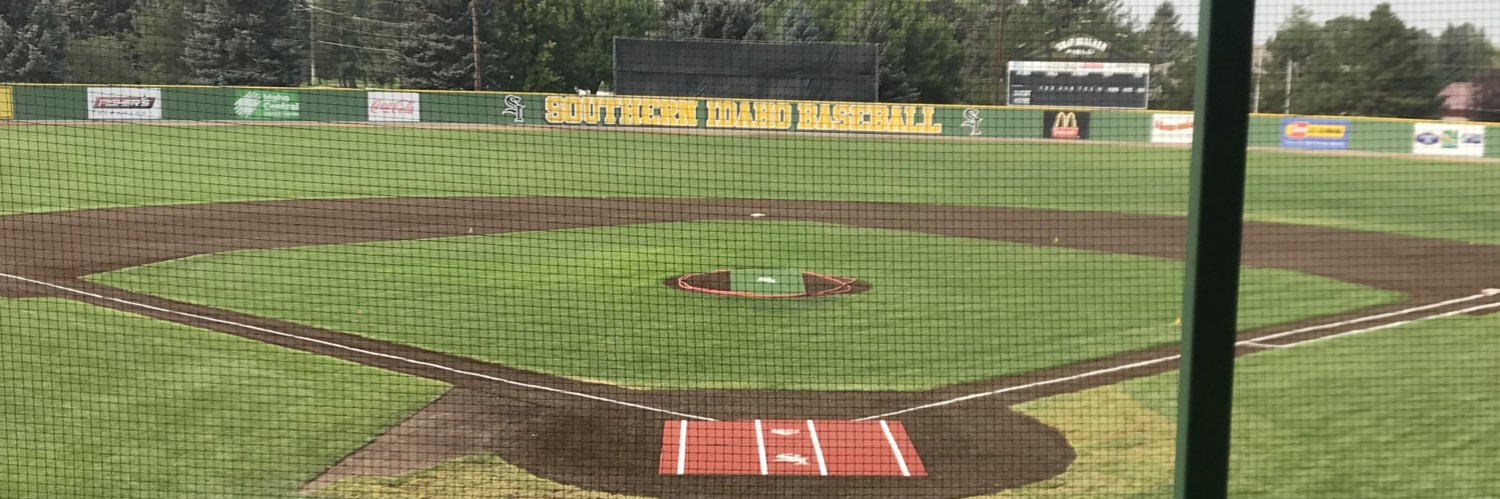 CSI Baseball's banner