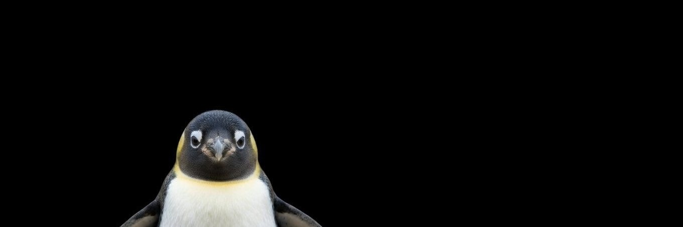 davisbrief's profile banner image
