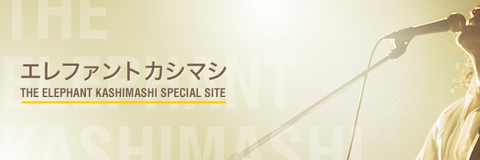 biba24463564's profile banner image