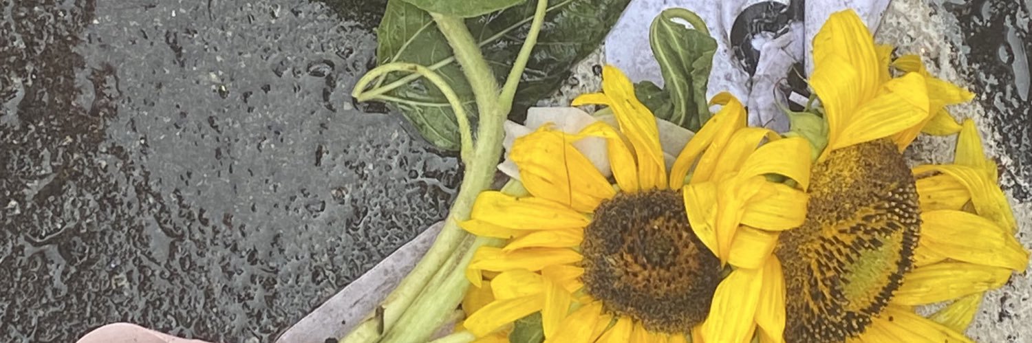 httpgiulia_'s profile banner image