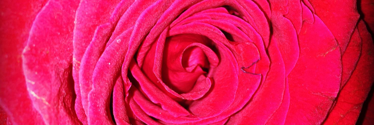 Spandatron's profile banner image