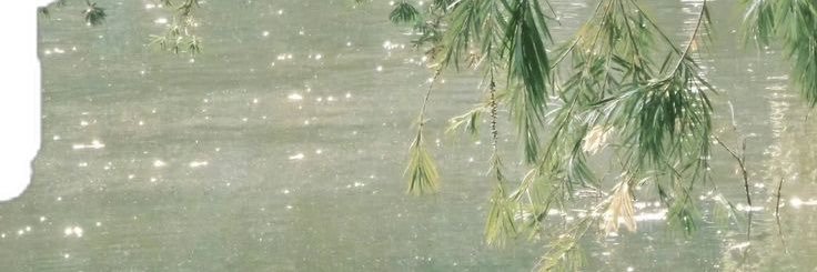 mykaila 🧚🏾's banner