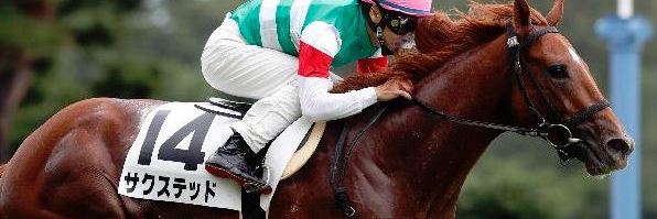 南蛮海老ちゃん banner