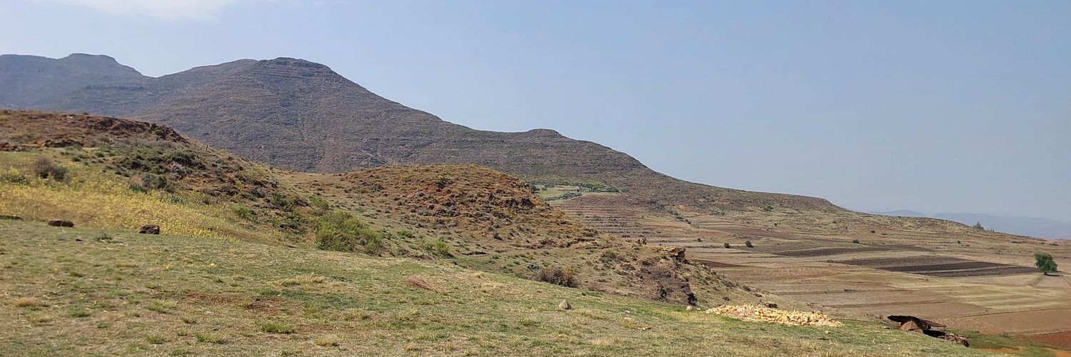 Harry MacDonald banner