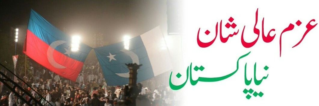 1News__'s profile banner image