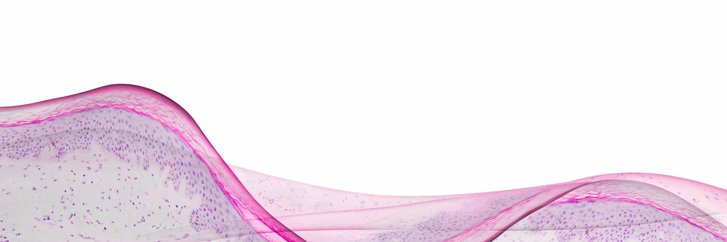 BiodanGroup's profile banner image