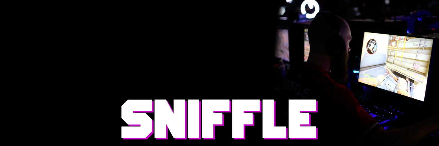 SniffleCS's profile banner image