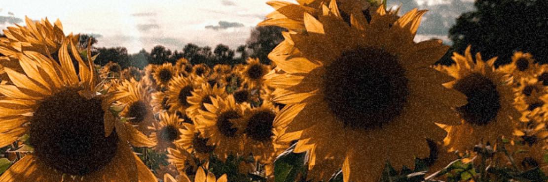 Tassiiaa13's profile banner image