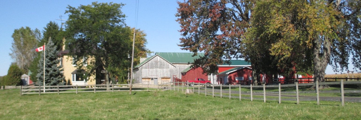 Julie Dodge- Shields banner