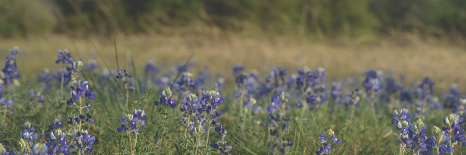 Erick Mitchell banner