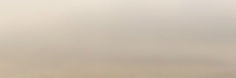 ellrashi's profile banner image
