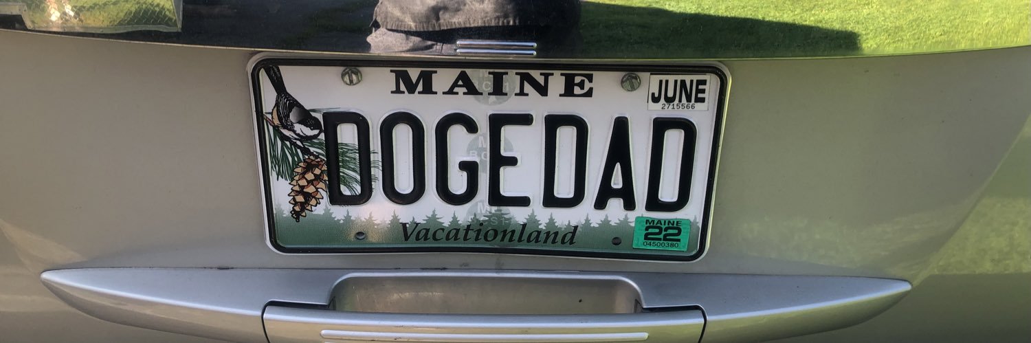 DogeDad banner