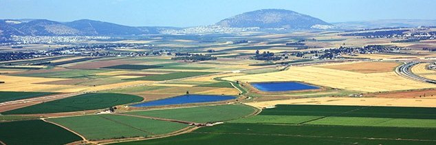 אילן ציאון - עורך דין 🇮🇱 banner