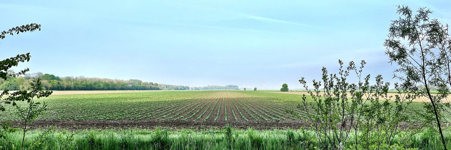 Suzanne Stoop 🕊 banner