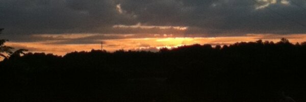 cupcakes6263 Profile Banner