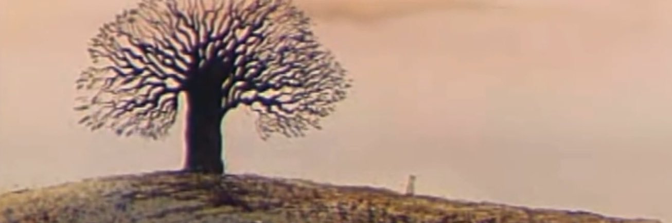 pöti a banner