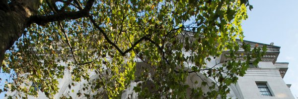 KCLFoundations Profile Banner