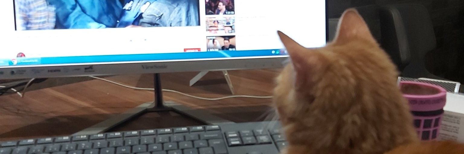 bugurpinarli's profile banner image